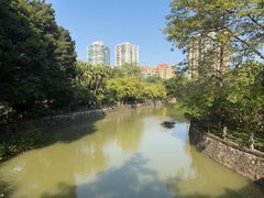 -晓港公园