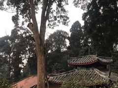 -都江堰普照寺