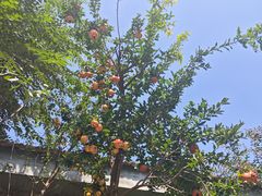 -时光漫步酒店(北京雍和宫南锣鼓巷店)