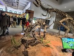 -自贡恐龙博物馆