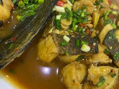 -全乐鱼馆·淳牌有机鱼直营店