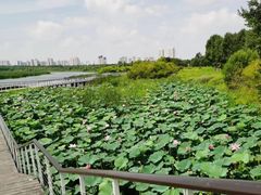 -哈尔滨大剧院