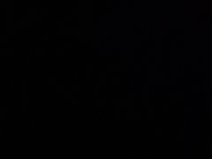 -馨越楼·点心·粤菜(赤坎店)