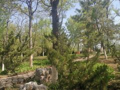-绿岛公园(滨海新区)