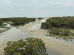 -北海金海湾红树林生态旅游区