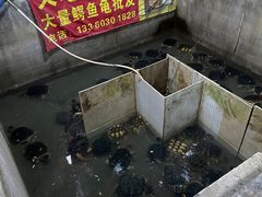 -龟场私房菜