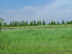 -野鸭湖国家湿地公园