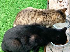 -UNIUNI(凯瑟琳广场店)