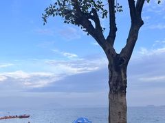 -大梅沙海滨公园