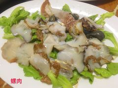螺肉-金砂阿洲鱼册店