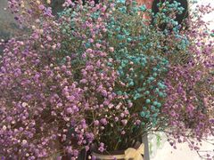 -土豆口腔(凤凰北总店)