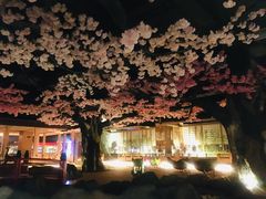 -蓝鲸湾汤泉(包河店)