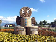 -富田农场