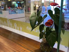 -艾薯夫妇Aysh(红山店)
