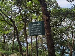 -紫金山索道-售票处