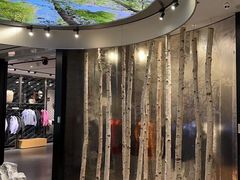 -ARC'TERYX始祖鸟(北京王府中环店)