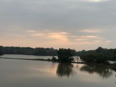 -大湾区中央湿地公园