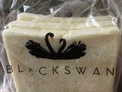 -BLACKSWAN黑天鹅(环球店)