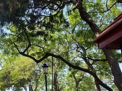 -青岛市江苏路基督教堂
