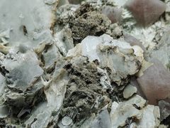 -湖南省地质博物馆