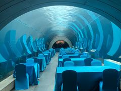 -涛·海底餐厅·美人鱼·自助餐·海底隧道(三亚海棠湾洲际度假酒店)