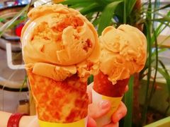 焦糖海盐饼干-LUNEURS月乐诗·法式冰淇淋(环贸店)