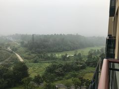 -成都蒲江花样年福朋喜来登度假酒店·宜客乐西餐厅