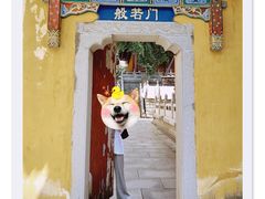 -宝通禅寺