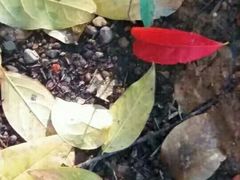 -湖南省立第一师范学校旧址