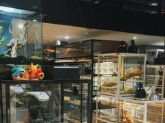 -酷以爬仙阁实体爬宠店·守宫·蜥蜴·专业繁育