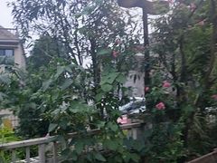 景观位-先机泉水鸡汤(南山老君洞店)