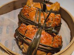 -杨氏青龙虾·羊蝎子(托乐嘉店)