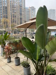 点击看大图 -宥莉·ULLY 痘敏肌•科技皮肤管理中心