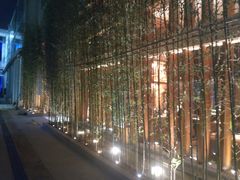 -天水蔬食料理(树德之光店)
