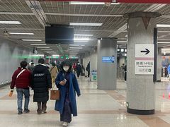 -大望路(地铁站)