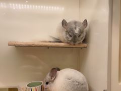 -龙猫仔乐园(惠福东路店)