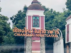 -清迈夜间动物园