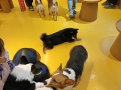 -大族广场Mall&More