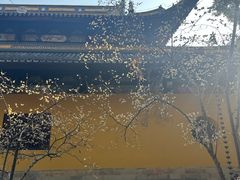 -西园戒幢律寺