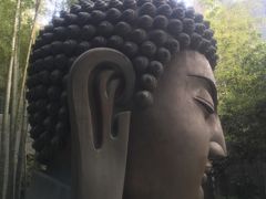 -杭州植物园