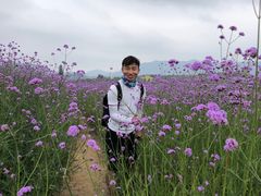 -光明小镇欢乐田园