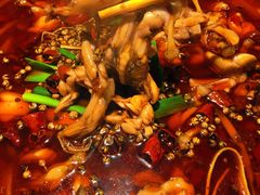 牛蛙-宽口美蛙鱼头(大唐西市店)