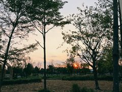 -光明小镇欢乐田园