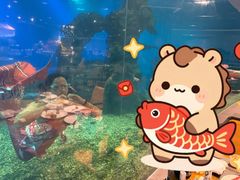 -海棠湾洲际-涛·海底餐厅·美人鱼·自助餐·海底隧道
