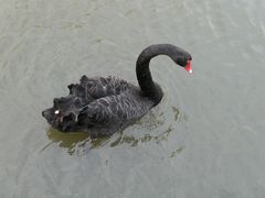 -野生动物园-停车场