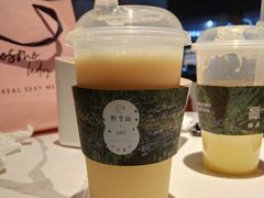 -野萃山·潮汕厚果汁(十亩地店)
