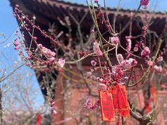 -开封包公祠