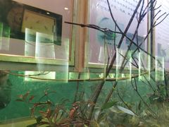 -上海昆虫博物馆