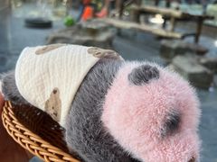 -上海野生动物园