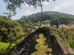 -天鹿湖森林公园